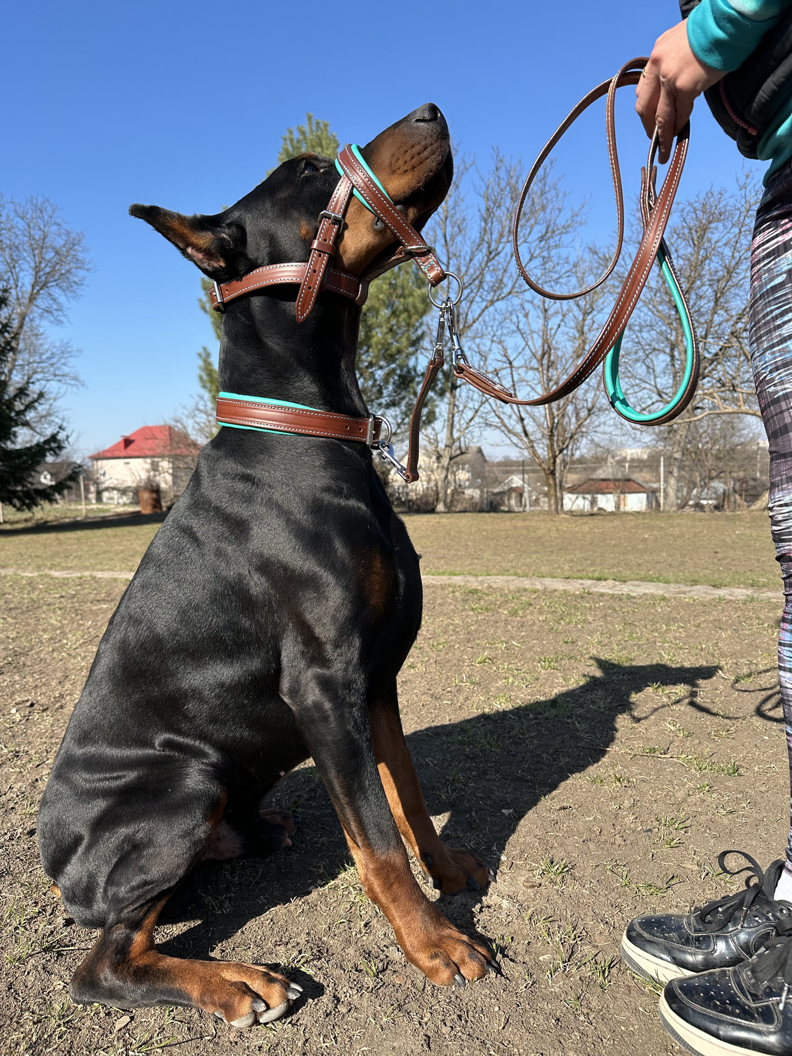 Leather Dog Halter, Dog Head Collar No Pull, Soft Padded Muzzle Alternative for Large Dog