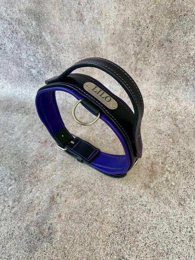 Handle Leather Dog Collar