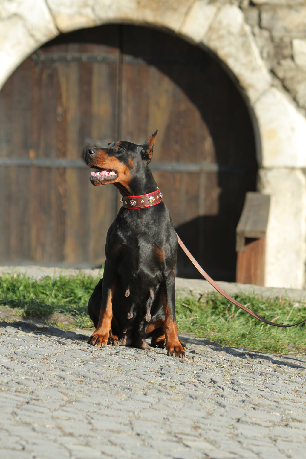 Brown Leather Dog Collar Red Padding with Conchos & Matching Leash with Handle