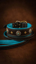 Dark Brown Castellar Leather Collar with Turquoise Padding and Luxurious Ornaments