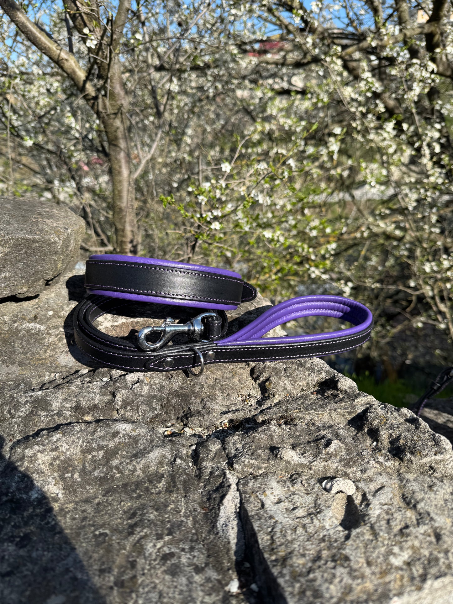 Leather Dog Collar with Handle and Leash Set, Black Leather with Purple Padding