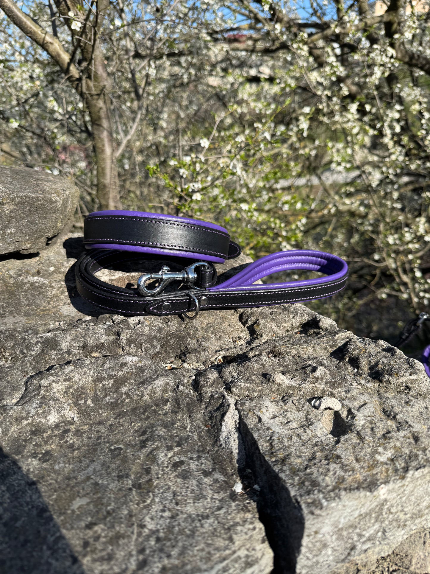 Leather Dog Collar with Handle and Leash Set, Black Leather with Purple Padding