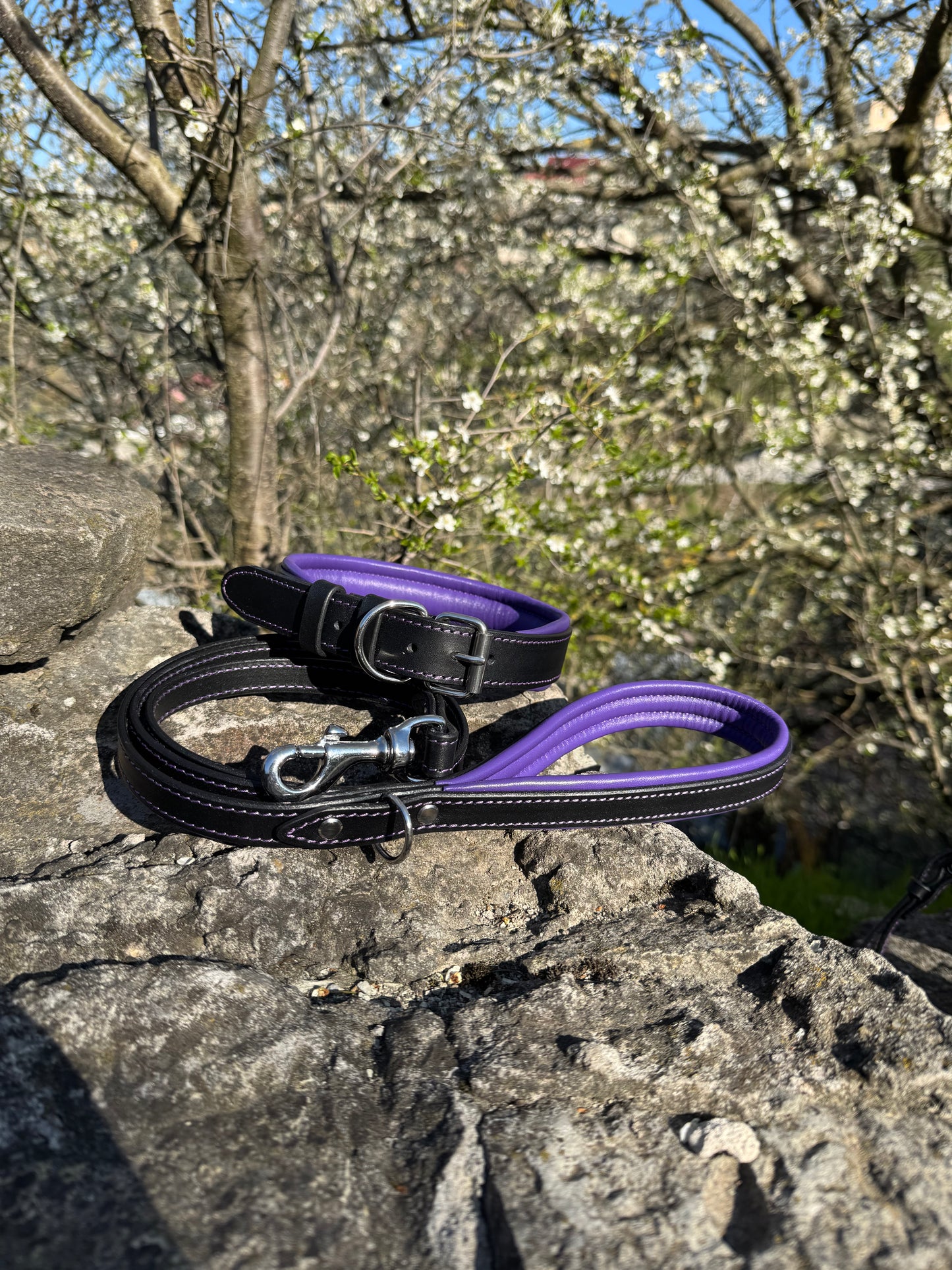 Leather Dog Collar with Handle and Leash Set, Black Leather with Purple Padding