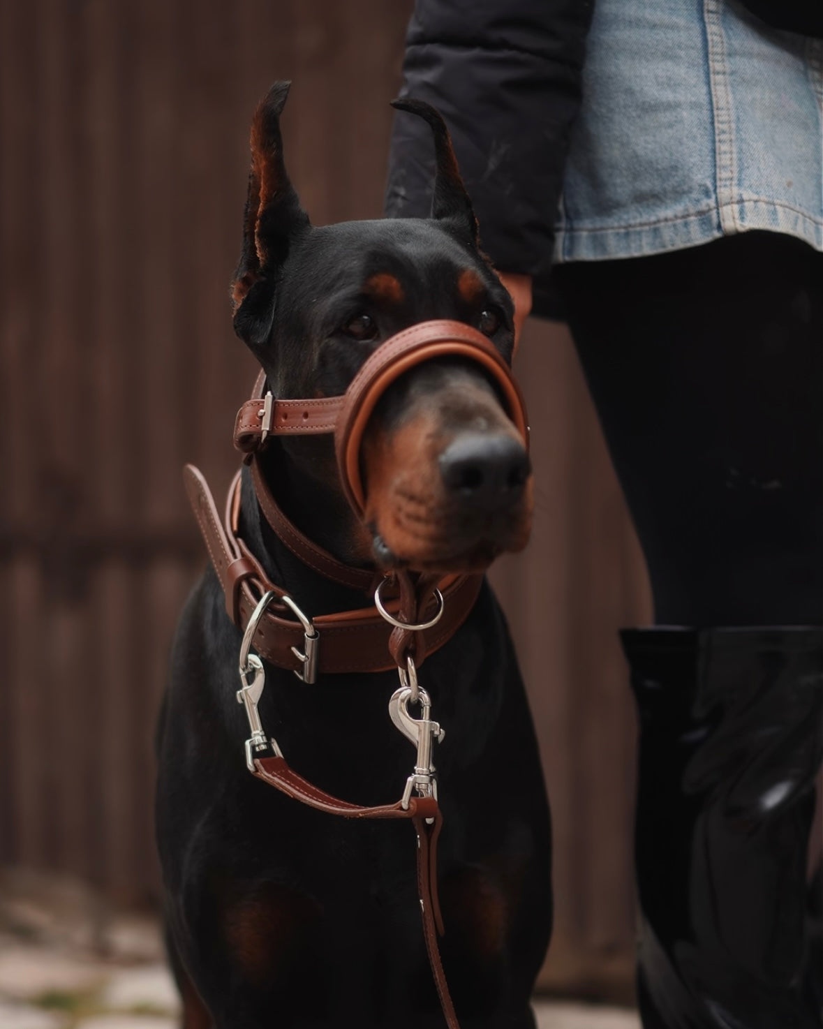 No-Pull Leather Dog Halter - Brown & Caramel Padded Edition