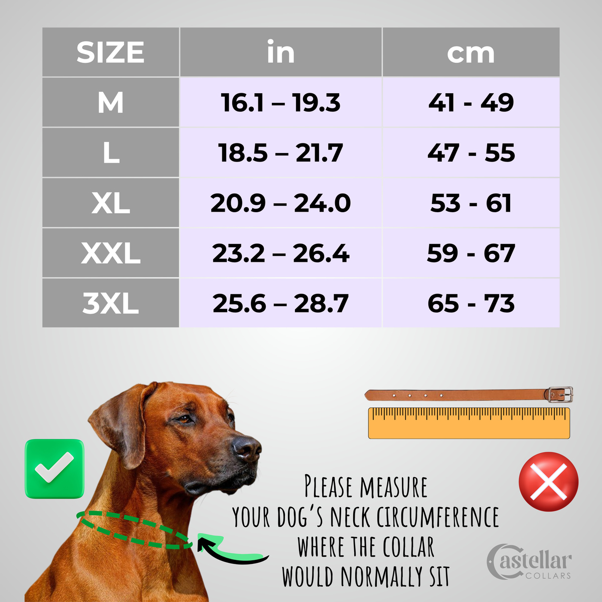 Western dog collars with conchos