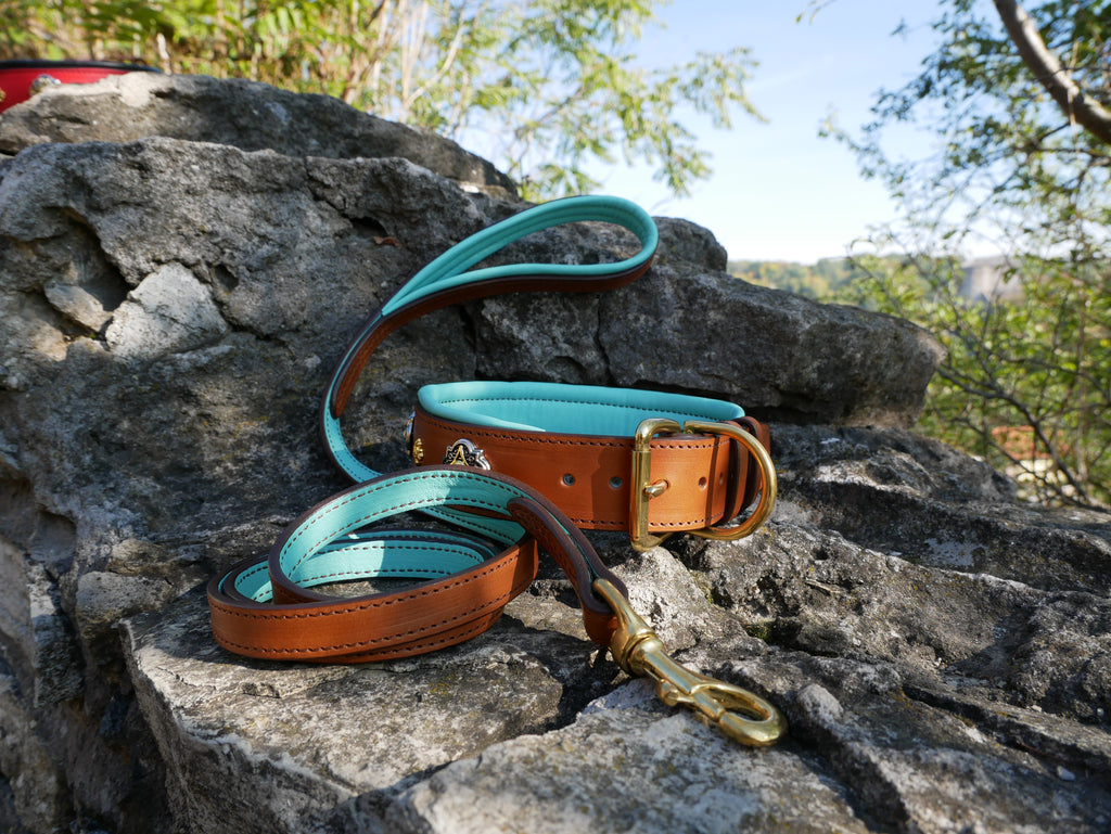 Turquoise Leather Dog Collar & Leash Set