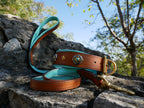 Turquoise Leather Dog Collar & Leash Set