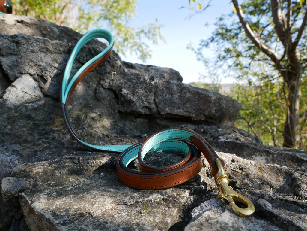Turquoise Leather Dog Collar & Leash Set