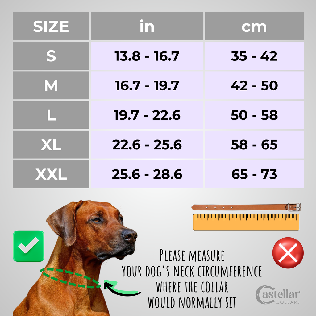 Classic Padded Leather Collar