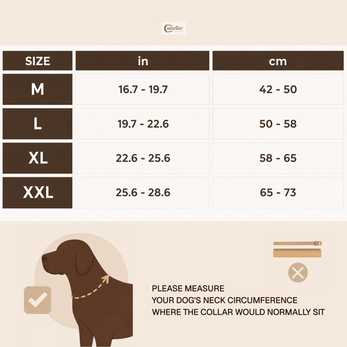 Handle Leather Dog Collar
