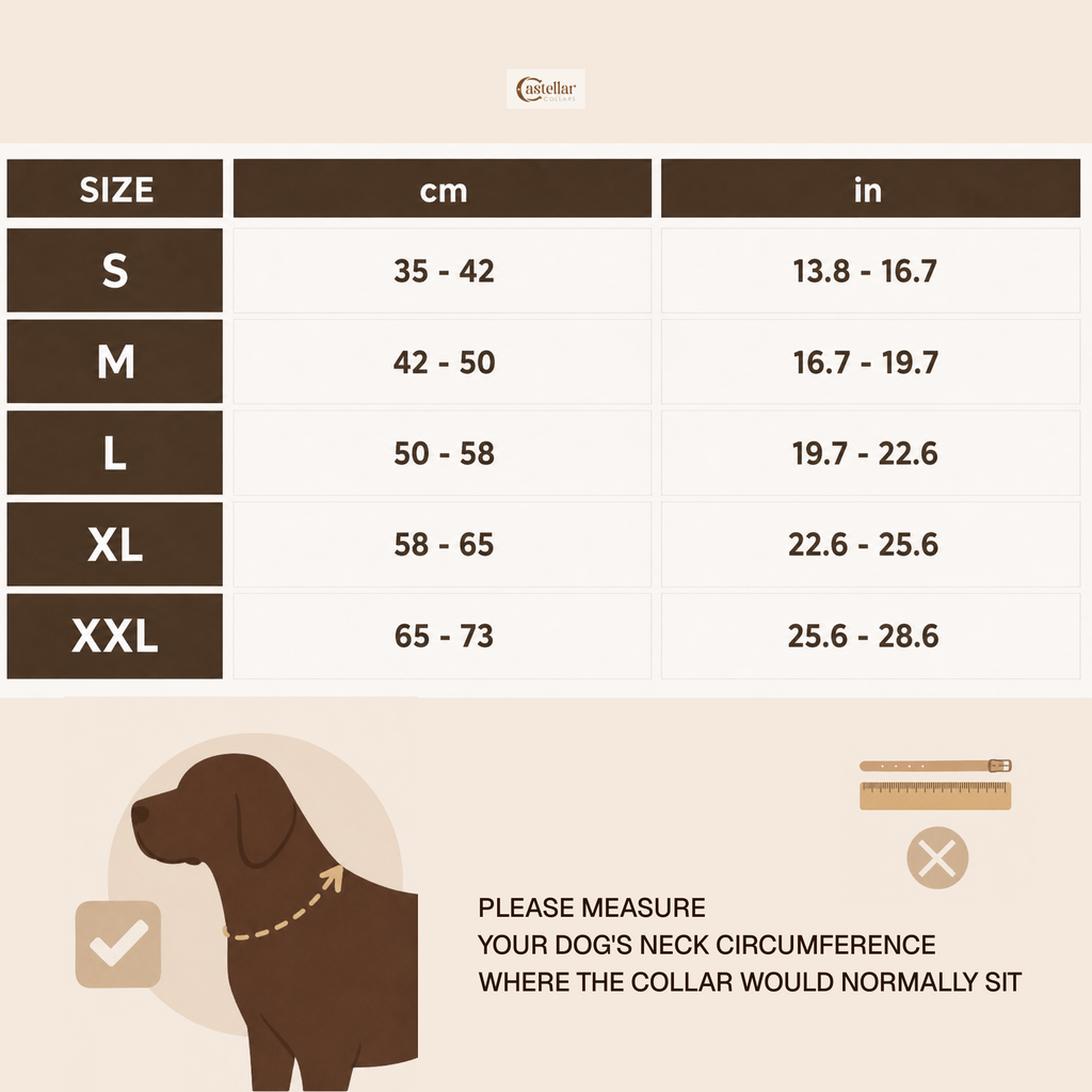 Personalized Leather Dog Collar