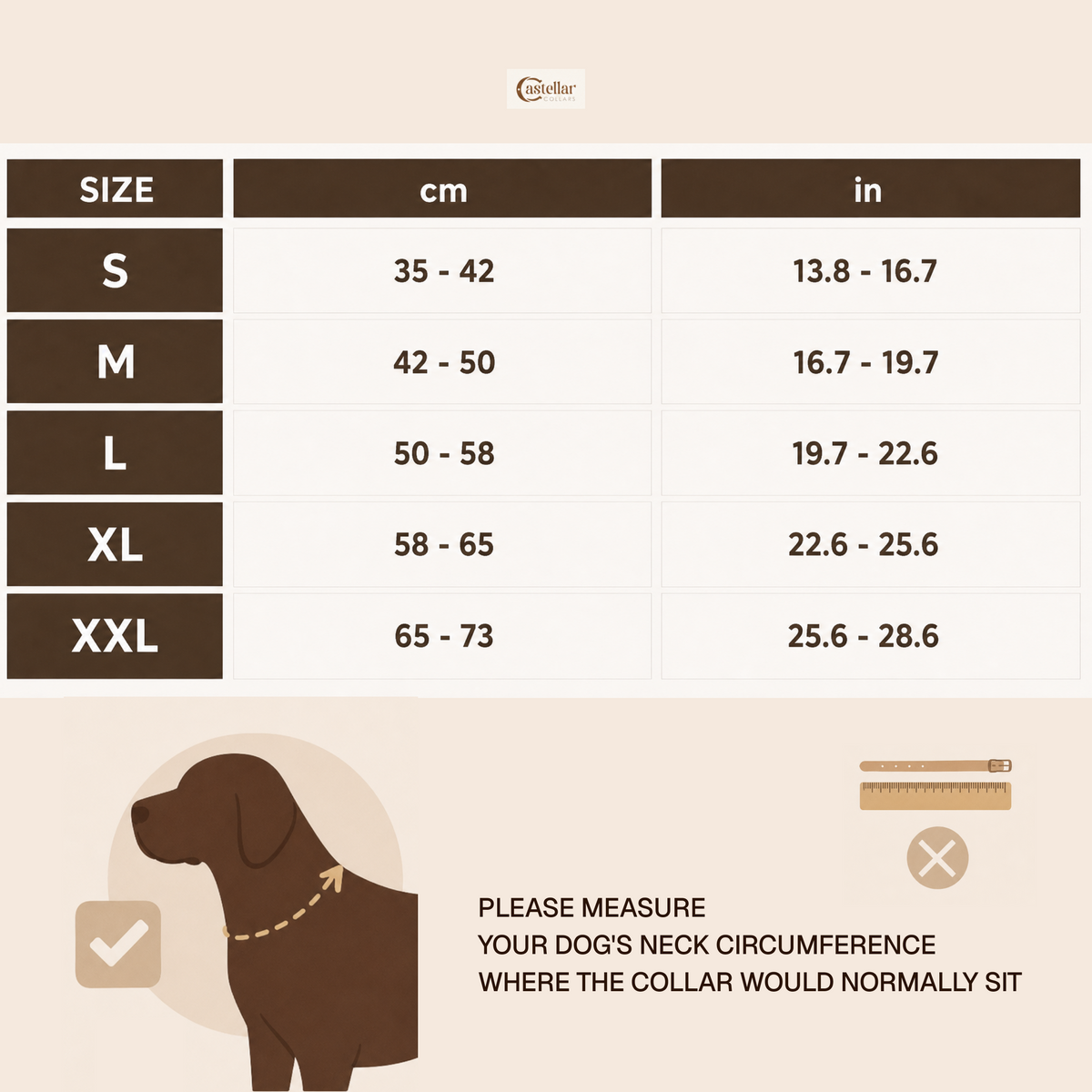 Decorative Leather Dog Collar