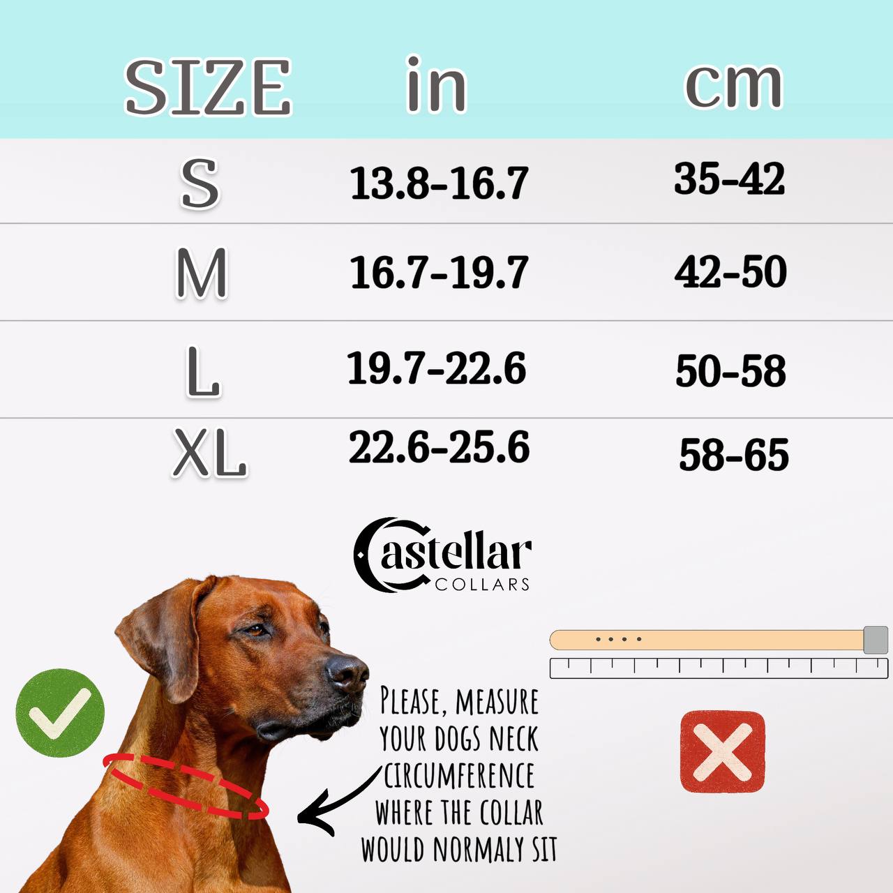 Christmas braided leather dog collar and leash set