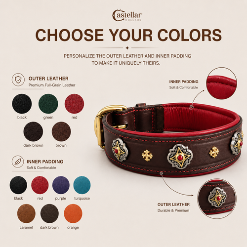 Decorative Leather Dog Collar