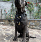 Brown Leather Dog Harness with Handle