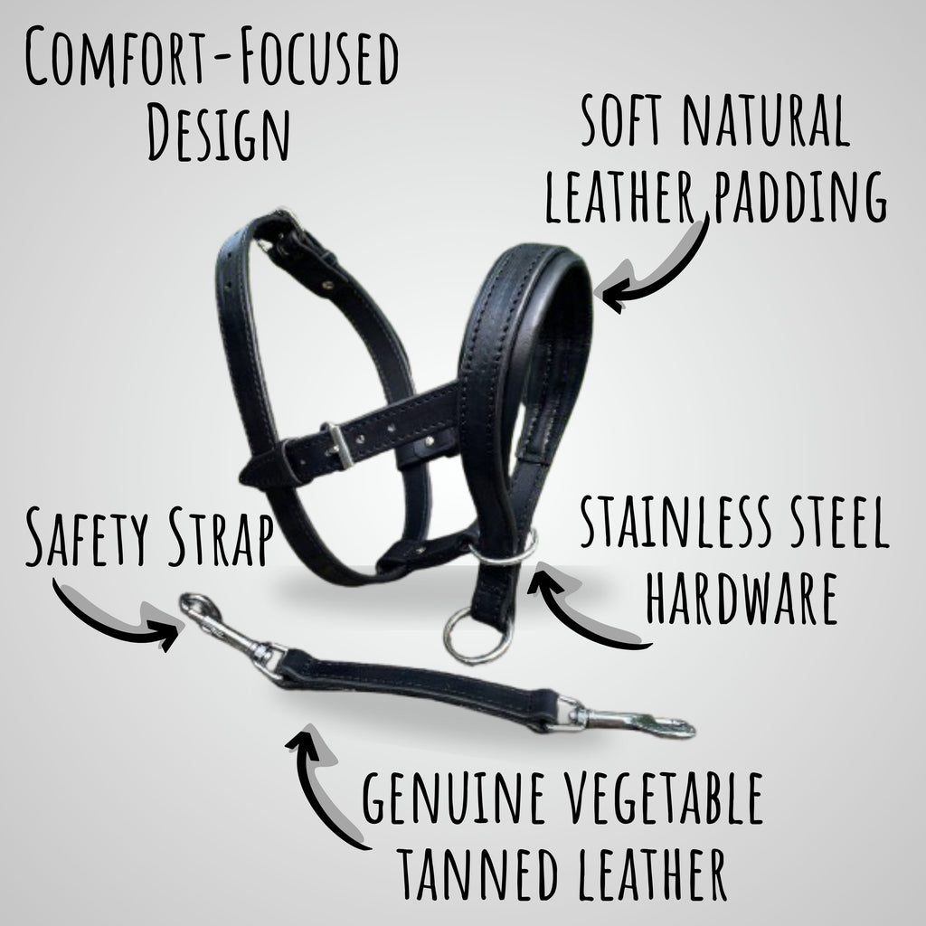 Head Collar for Large Dogs, No Pull Dog Head Collar with Safety Connector