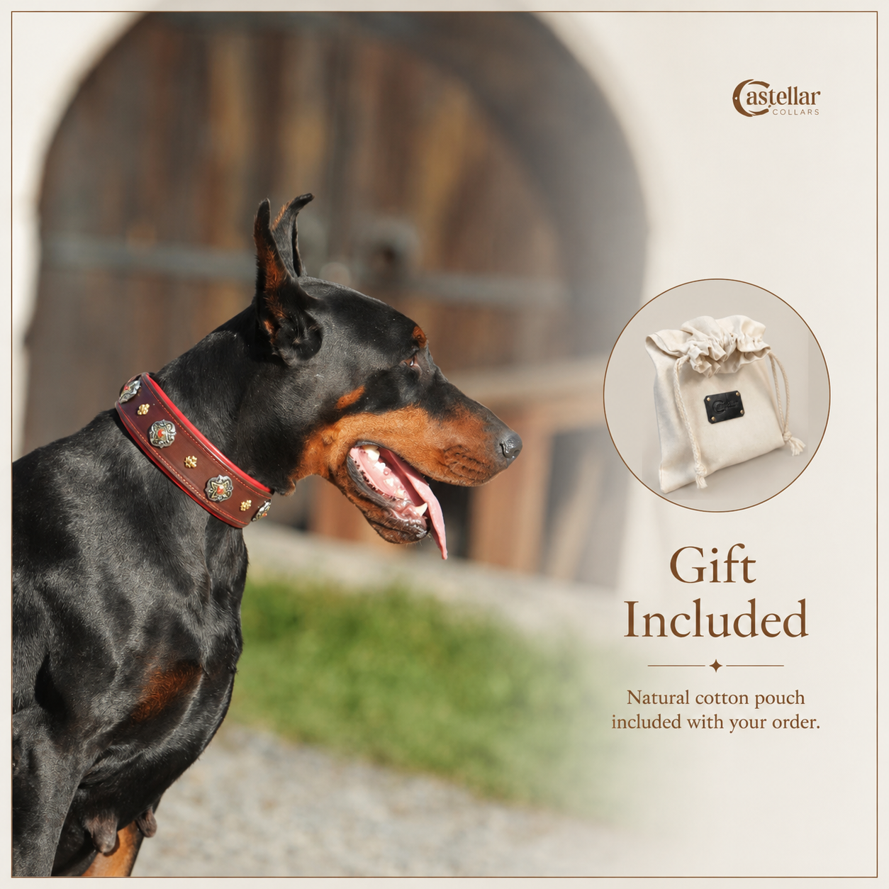 Decorative Leather Dog Collar