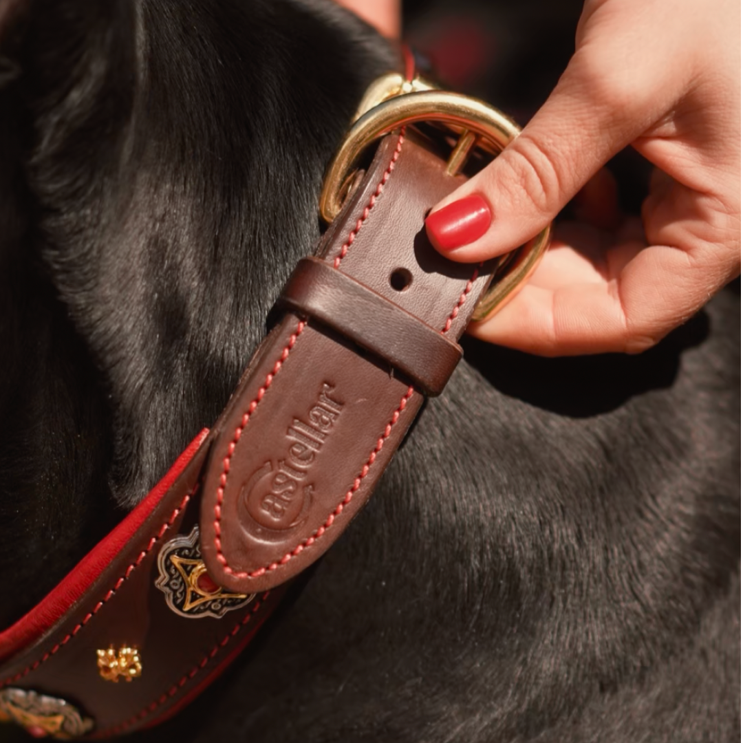 Green Leather Dog Collar with Royal Conchos