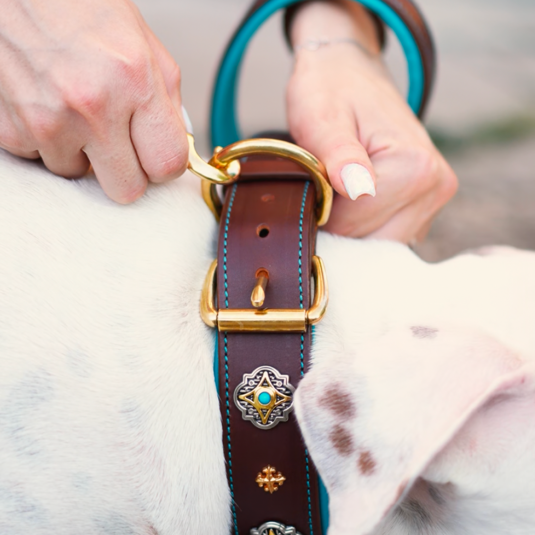 Green Leather Dog Collar with Royal Conchos