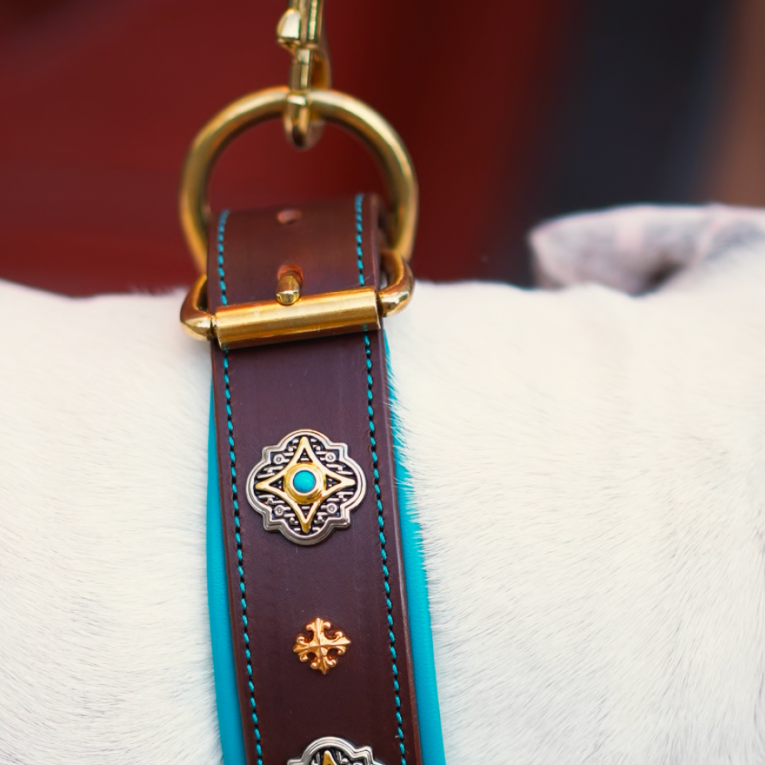 Decorative Leather Dog Collar