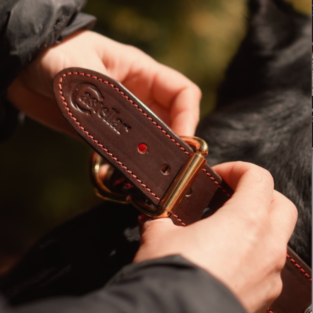 Decorative Leather Dog Collar