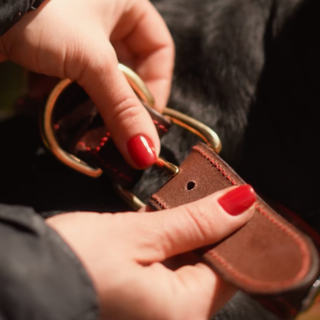 Decorative Leather Dog Collar