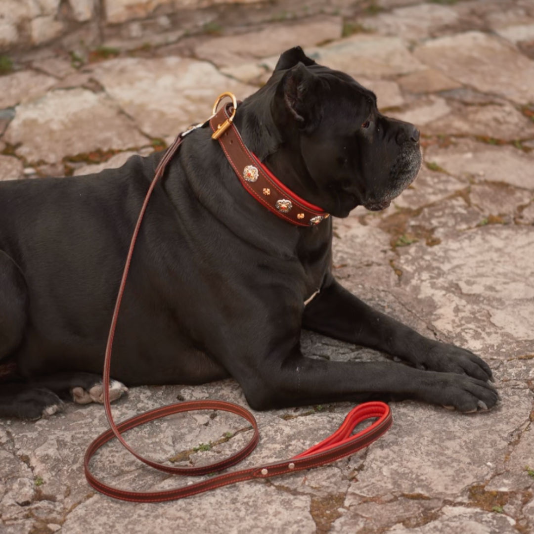 Green Leather Dog Collar with Royal Conchos