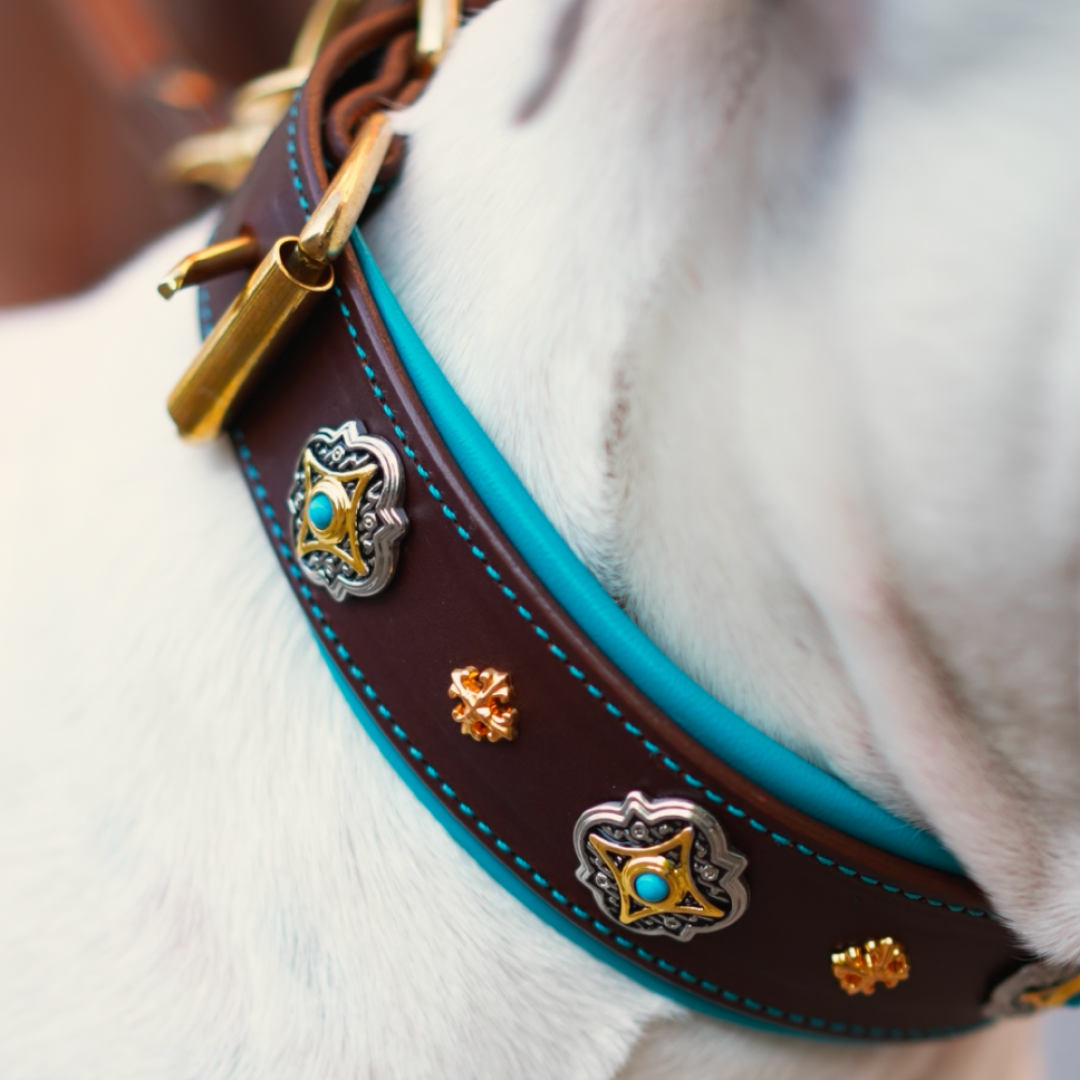 Green Leather Dog Collar with Royal Conchos