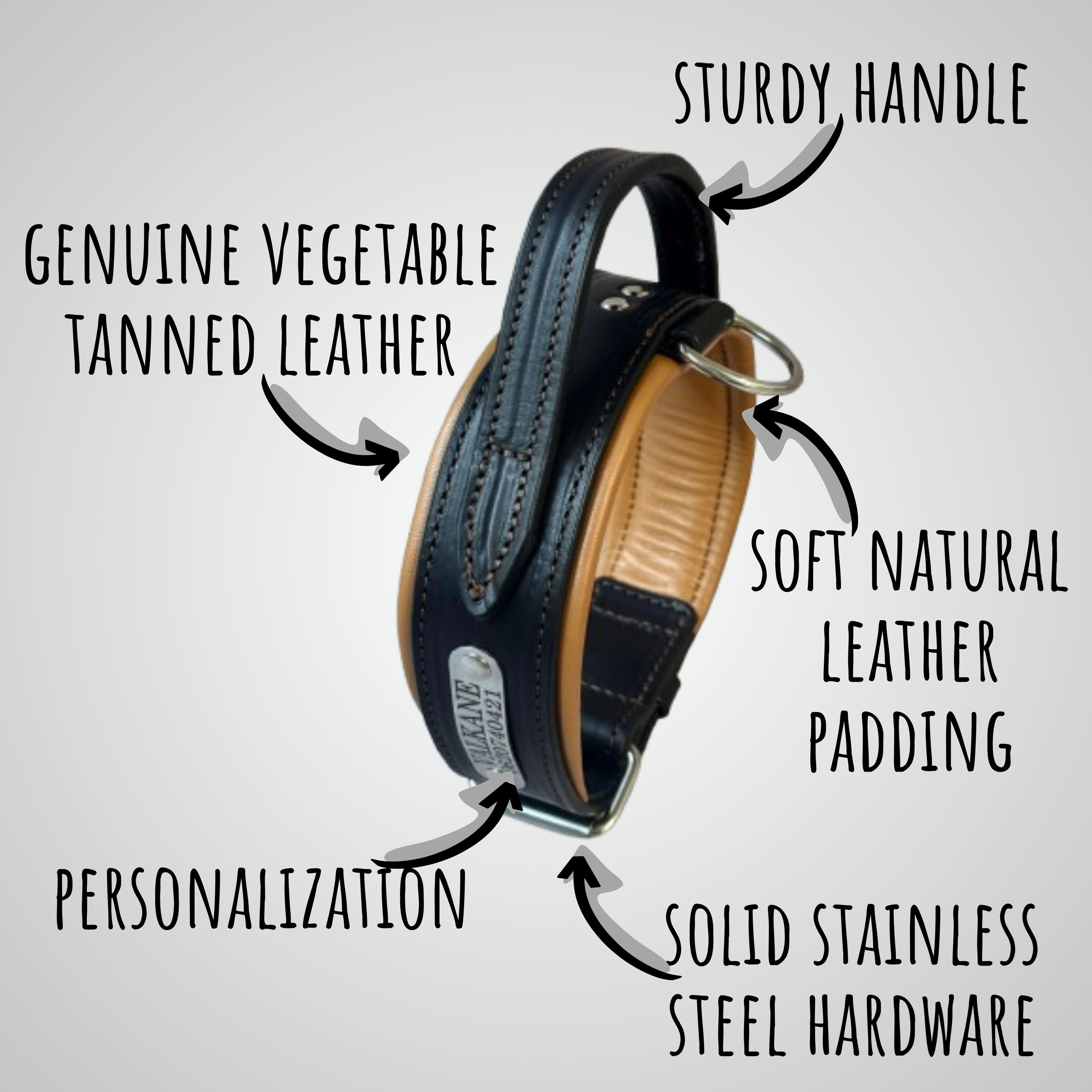 Handle Dog Collar Leather Wide Padded Purple