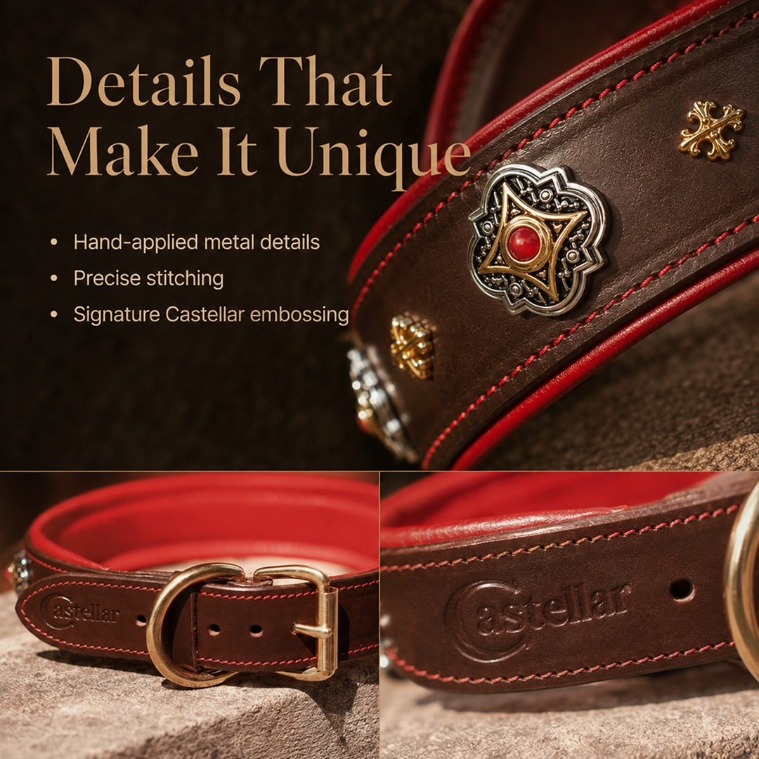 Decorative Leather Dog Collar