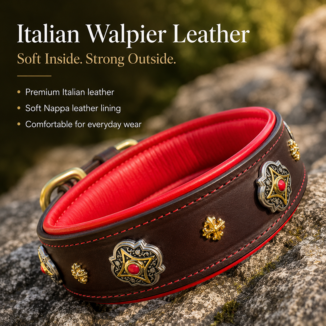 Decorative Leather Dog Collar