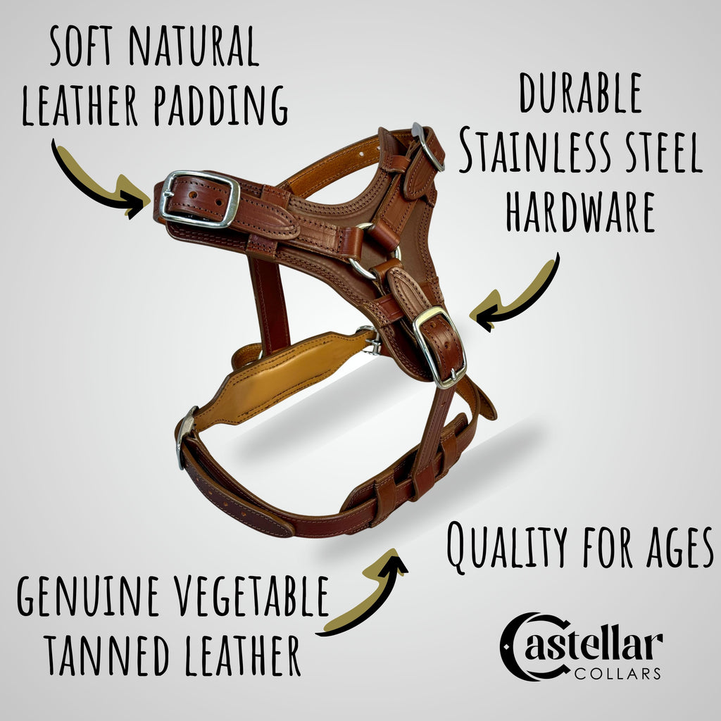 Heavy Duty Leather Dog Harness No Pull
