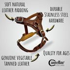 Heavy Duty Leather Dog Harness No Pull