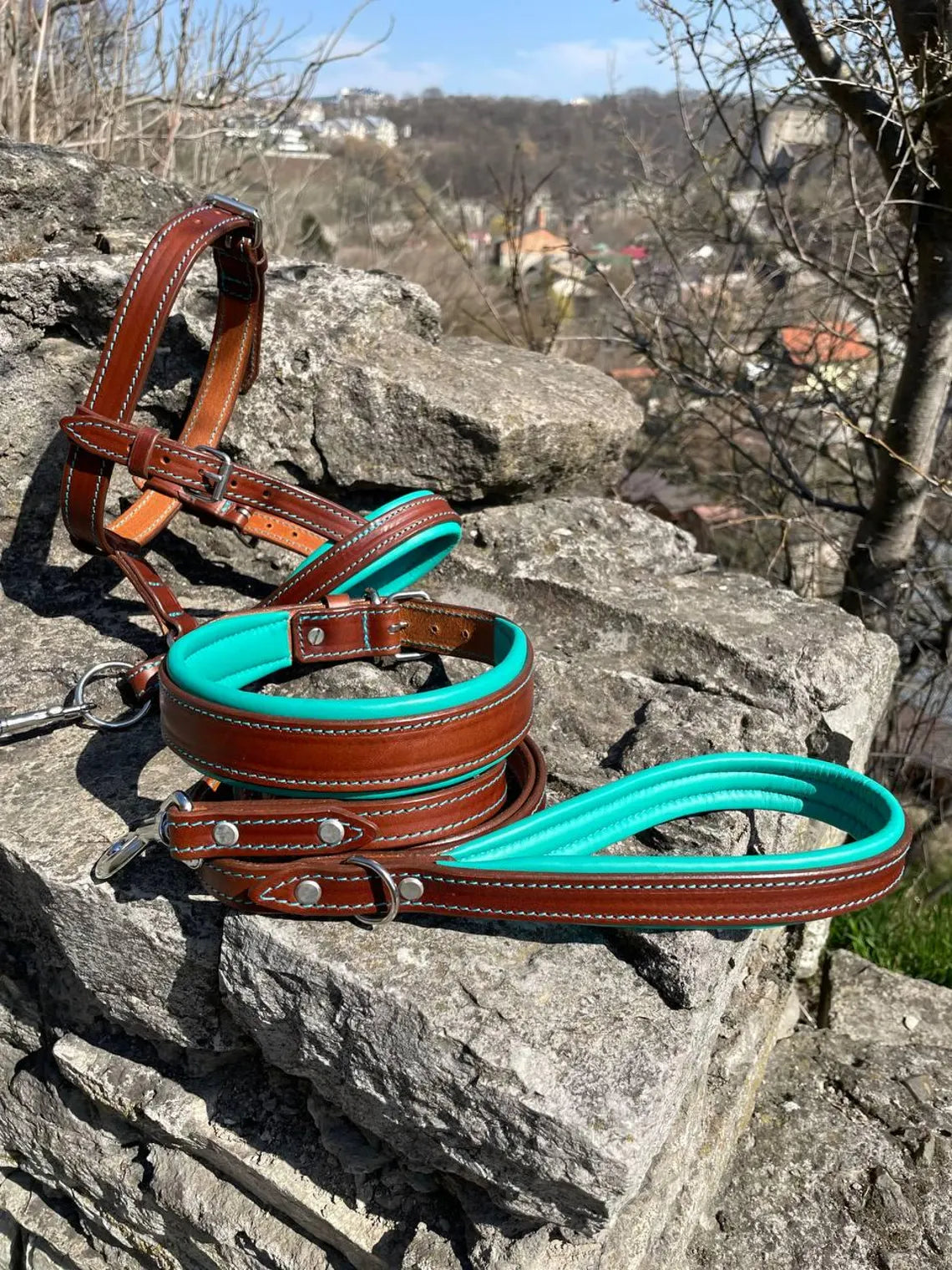 Dog Head Collar Leather, Dog Collar, Leash, Thick Padded Collar for Doberman, German Shepherd, Bulldog, Mastiff, Cane Corso, Pitbull