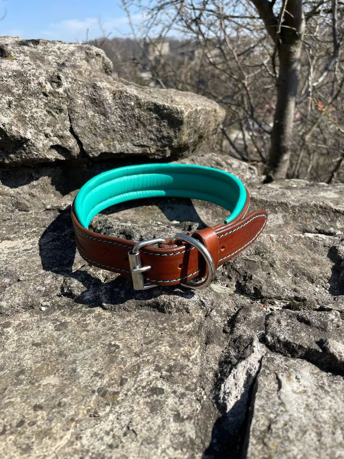 Dog Head Collar Leather, Dog Collar, Leash, Thick Padded Collar for Doberman, German Shepherd, Bulldog, Mastiff, Cane Corso, Pitbull