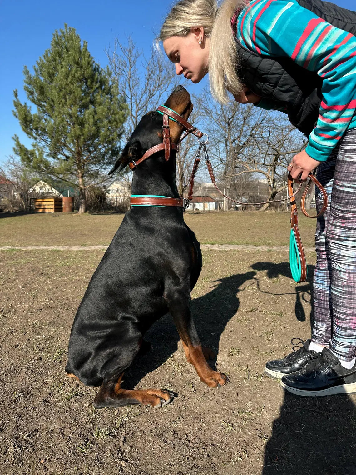 Dog Head Collar Leather, Dog Collar, Leash, Thick Padded Collar for Doberman, German Shepherd, Bulldog, Mastiff, Cane Corso, Pitbull