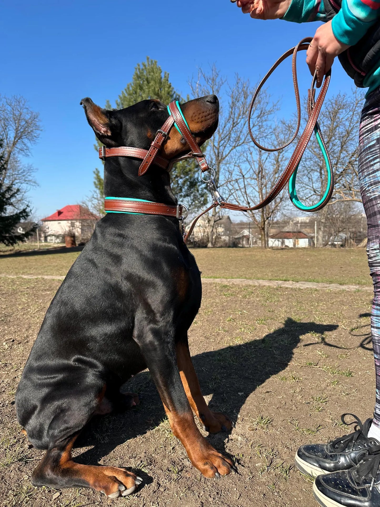 Dog Head Collar Leather, Dog Collar, Leash, Thick Padded Collar for Doberman, German Shepherd, Bulldog, Mastiff, Cane Corso, Pitbull