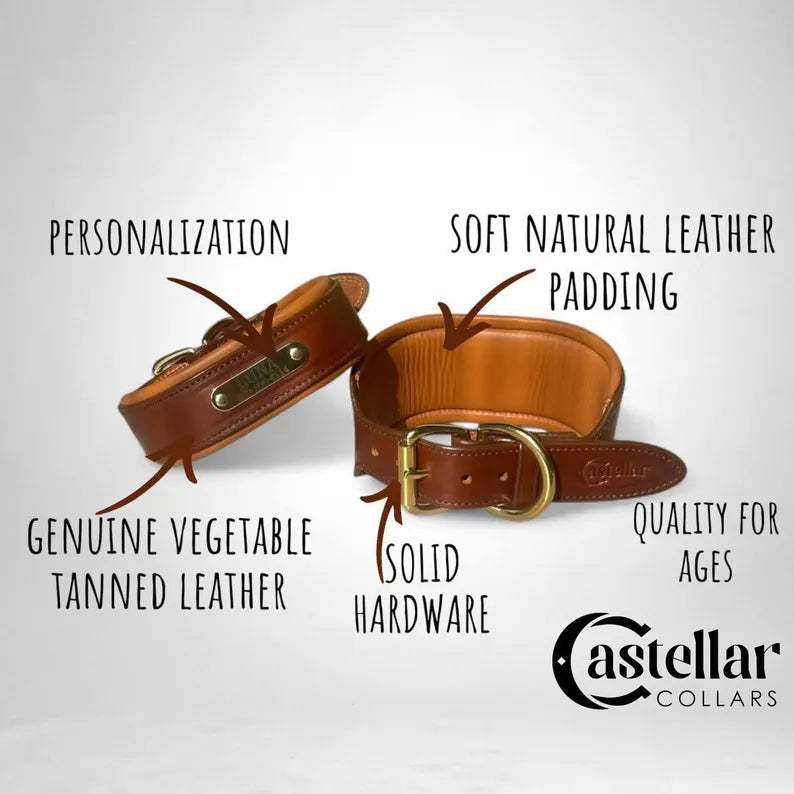 Red Wide Leather Dog Collar with Brass Medallions