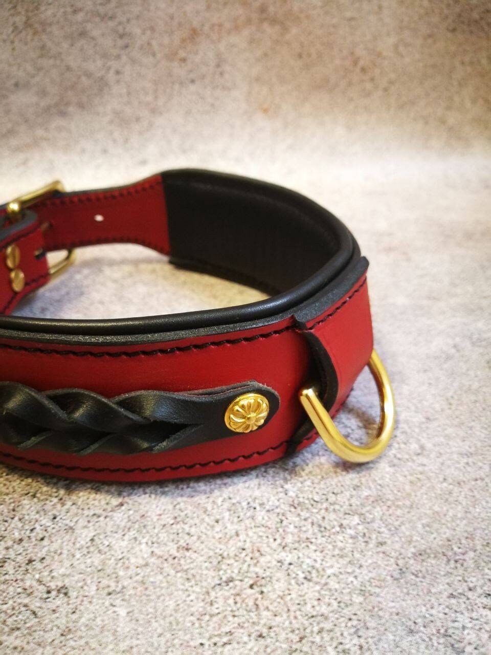 Red Leather Dog Collar, Red Leather Braided Dog Collar, Brass Hardware Dog Collar, Dog Collar Decorated with Braiding, Dog Collar Red Padded