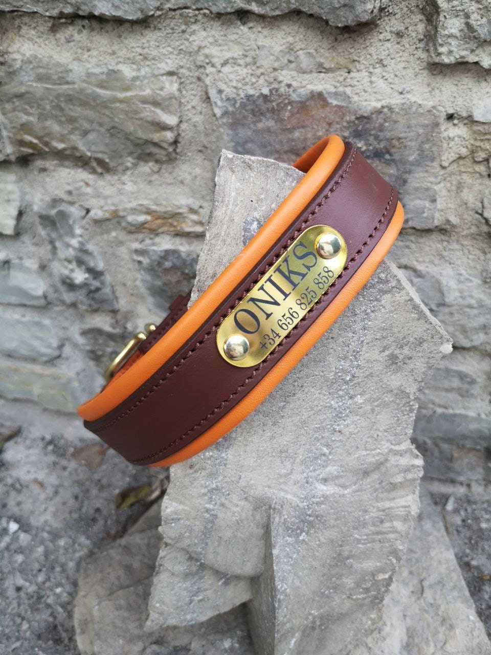 Personalized Dog Collar Padded Leather