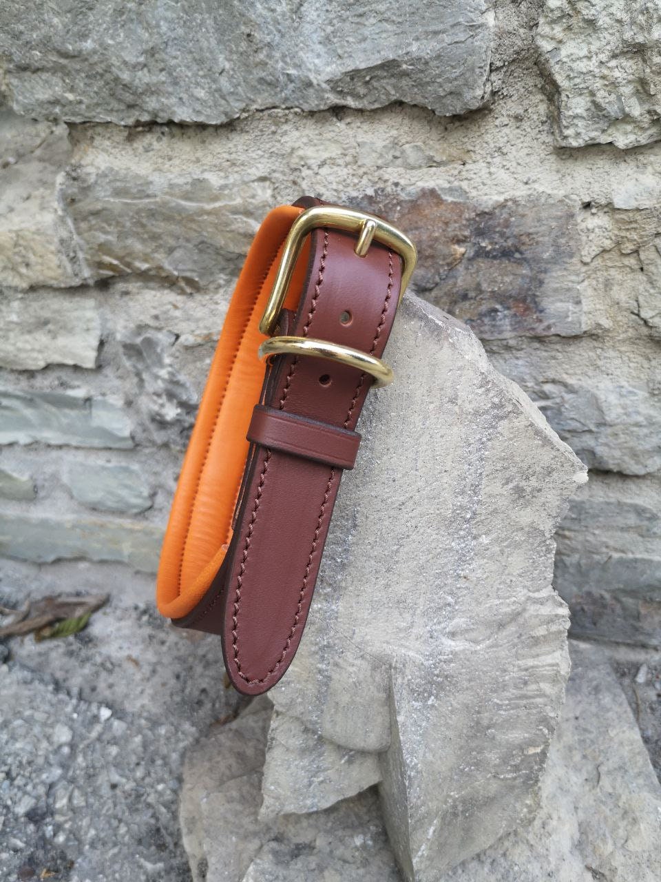 Personalized Dog Collar Padded Leather