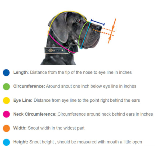 Leather Dog Walking Muzzle