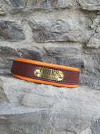 Personalized Dog Collar Padded Leather