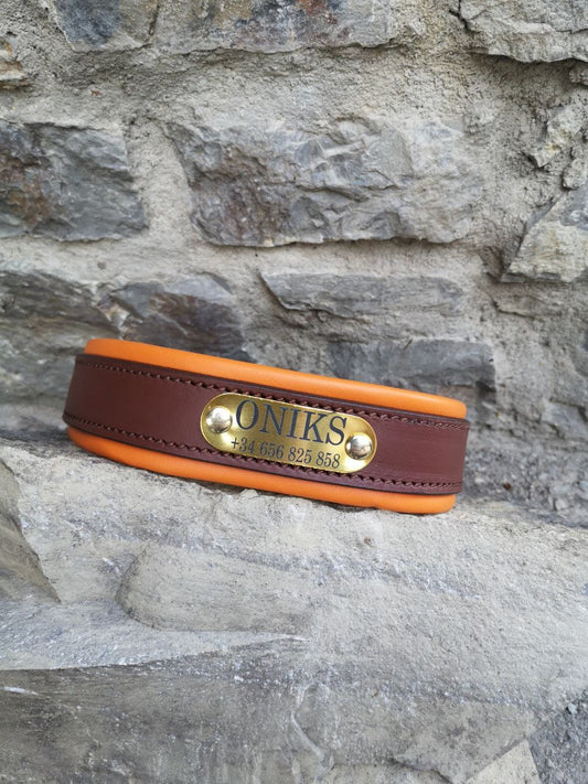 Personalized Dog Collar Padded Leather