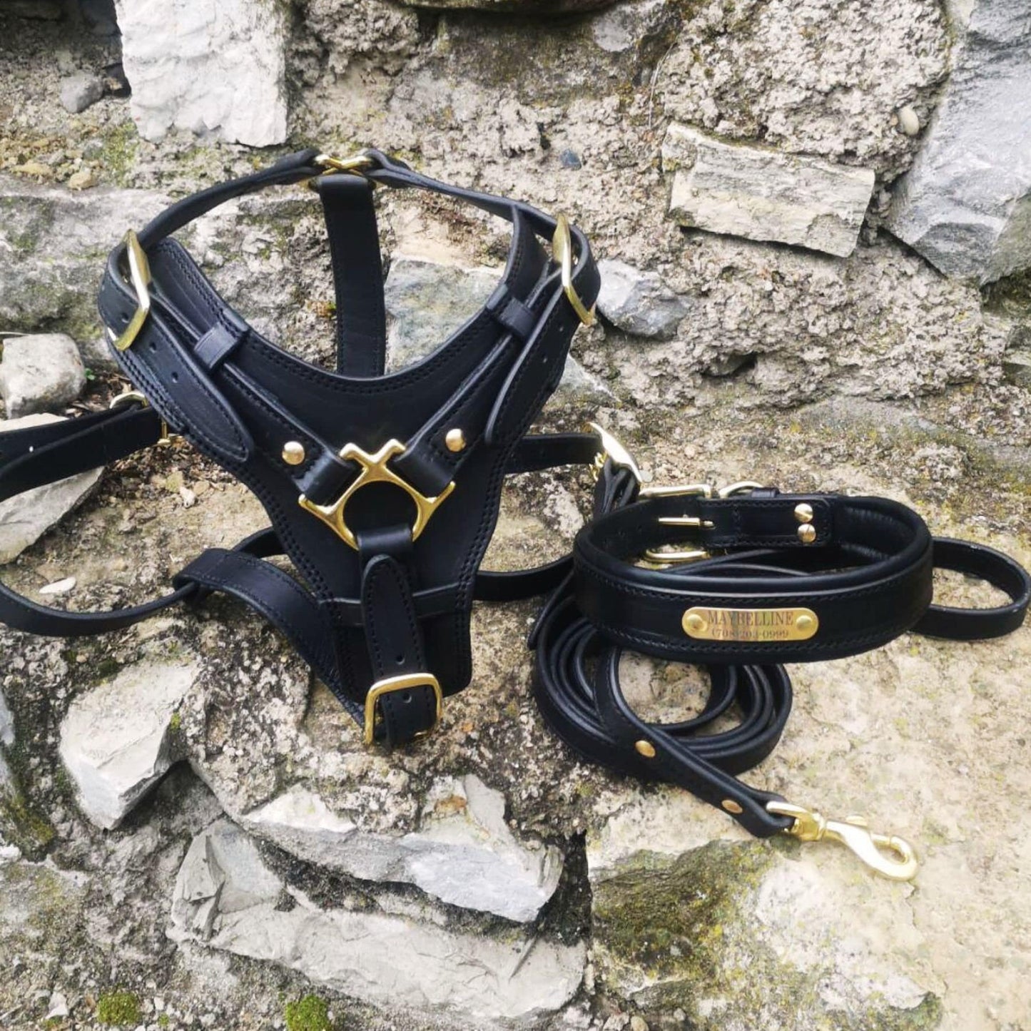 Premium Western Leather Dog Harness Set