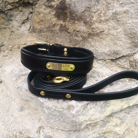 Personalized Leather Dog Collar and Leash Set, Wide Padded Leather Dog Collar with Engraved Nameplate Custom Leather 2 in Wide Dog Collar