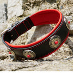 Padded Leather Dog Collar with Conchos, Flowers Decor Dog Collar for Large Dog, German Shepherd, Cane Corso, Doberman, Golden Retriever