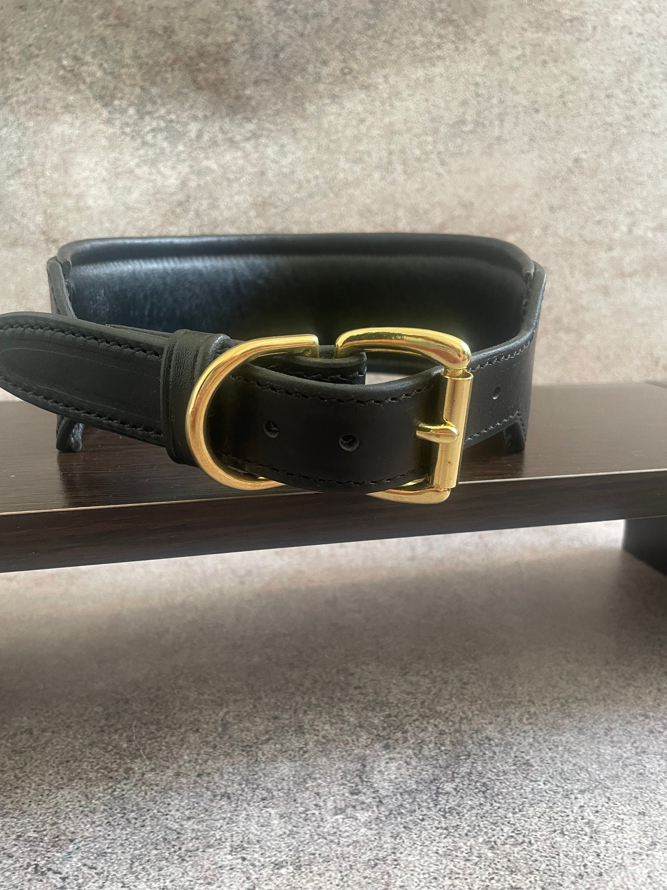 Wide Leather Dog Collar Padded