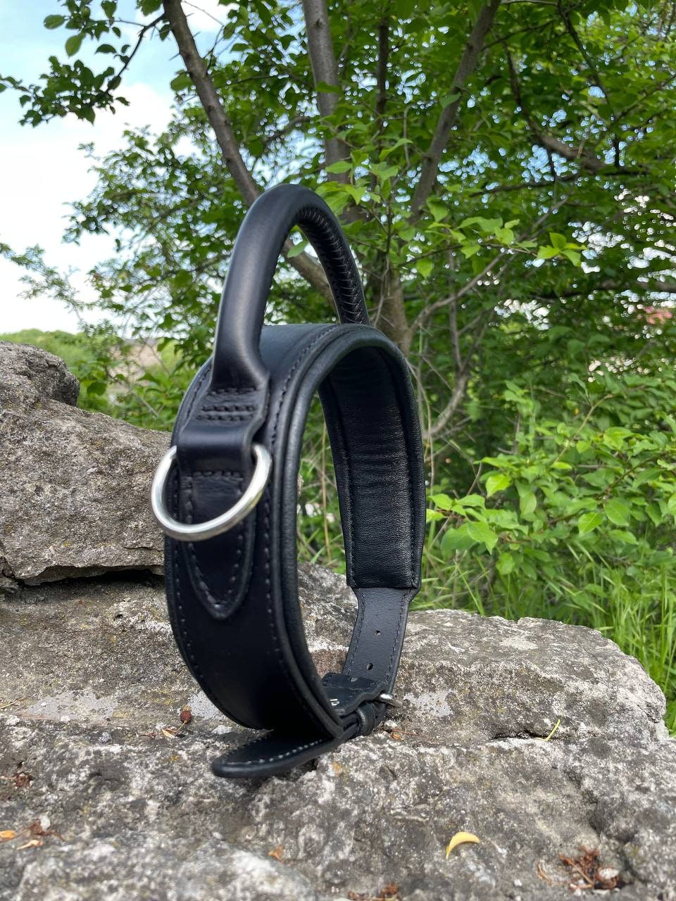 Leather Dog Collar with Handle, 2 in Wide Padded Leather Collar for Large Dog