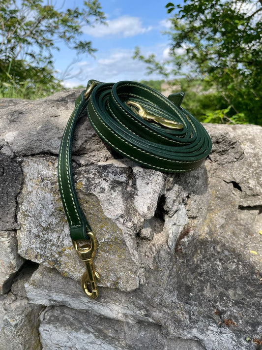 Green Leather Dog Leash Hands Free, Multipurpose Dog Leash 8 or 10 foot long, Genuine Leather 5 Way Leash with Brass, Luxury Dog Accessories